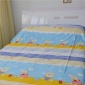150x210cm 丝天下儿童蚕丝被-春秋被 厂家直批有保障（6床起批）